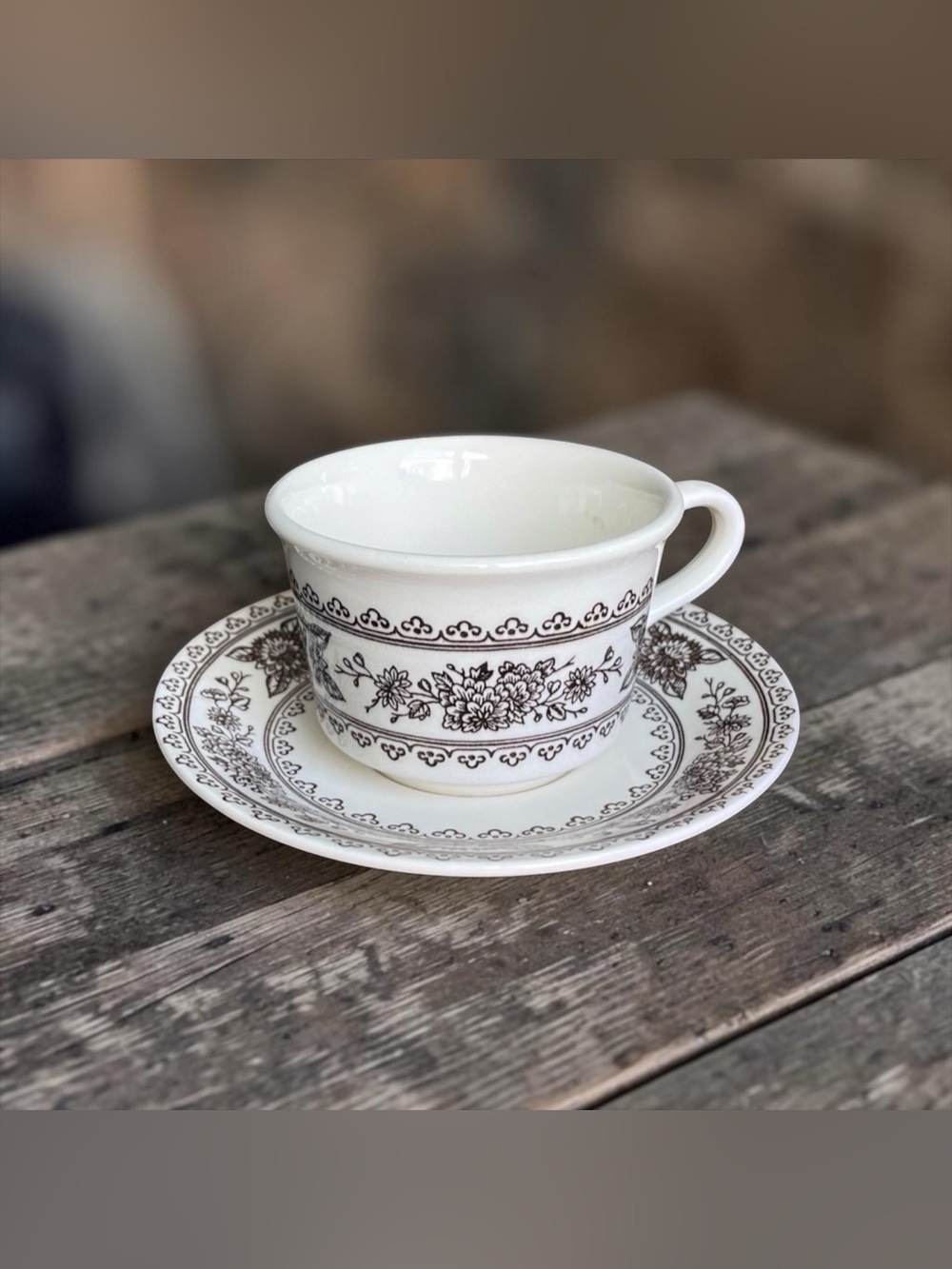 Royal China Hampshire Cup and Saucer Set Ironstone Transferware